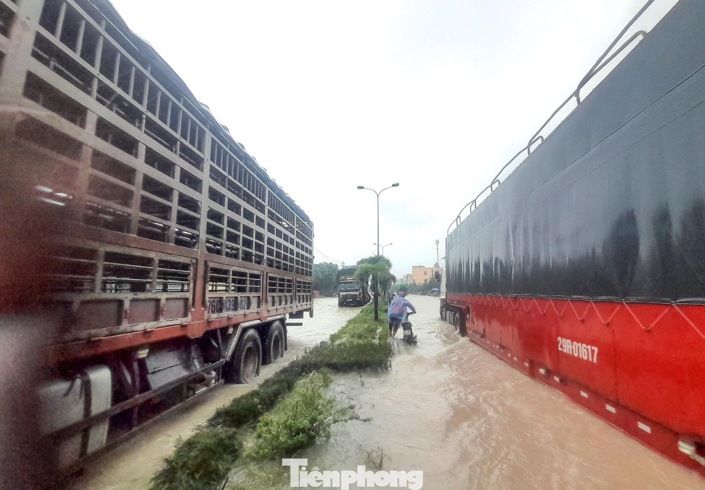 Ngập tại QL 1 đoạn qua phường Trần Quang Diệu (TP Quy Nhơn) hồi tháng 11/2021. Ảnh: Trương Định Ngập tại QL 1 đoạn qua phường Trần Quang Diệu (TP Quy Nhơn) hồi tháng 11/2021. Ảnh: Trương Định