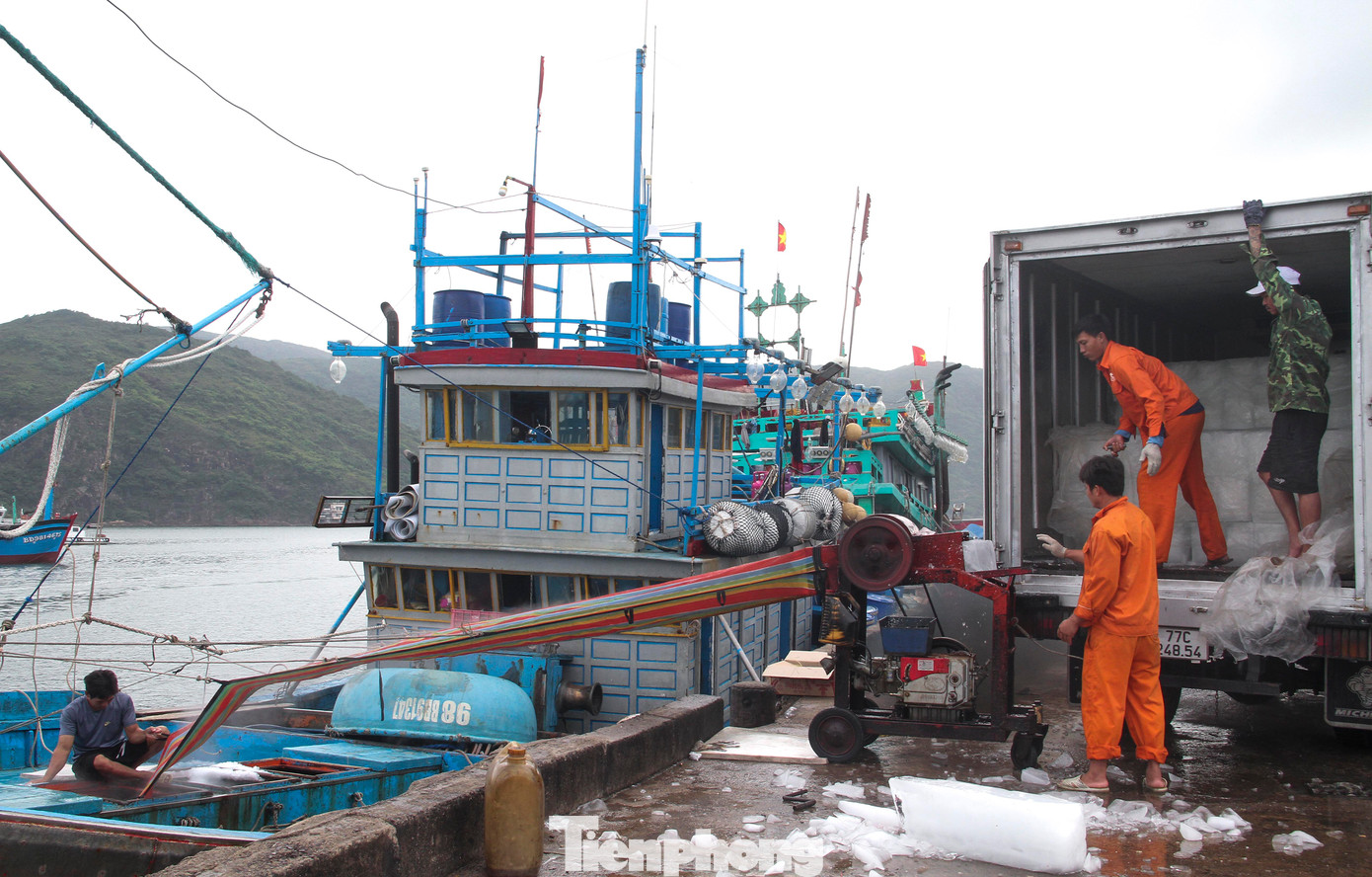 Thời điểm này, một số tàu cá của ngư dân Bình Định đang chuẩn bị đá lạnh để ra khơi đánh bắt chuyến biển mới. (Ảnh: Trương Định)