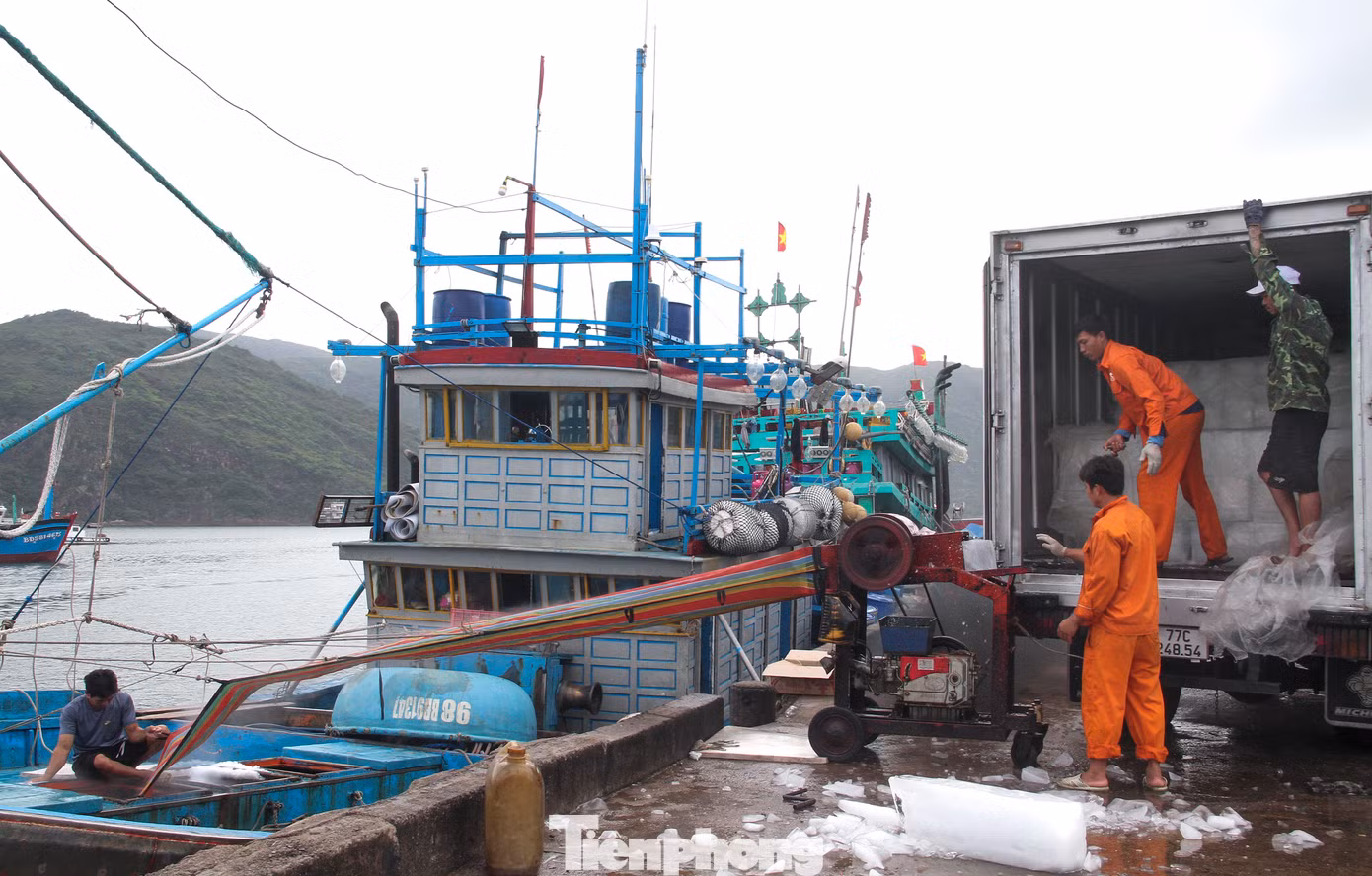 Thời điểm này, một số tàu cá của ngư dân Bình Định đang chuẩn bị đá lạnh để ra khơi đánh bắt chuyến biển mới. (Ảnh: Trương Định)