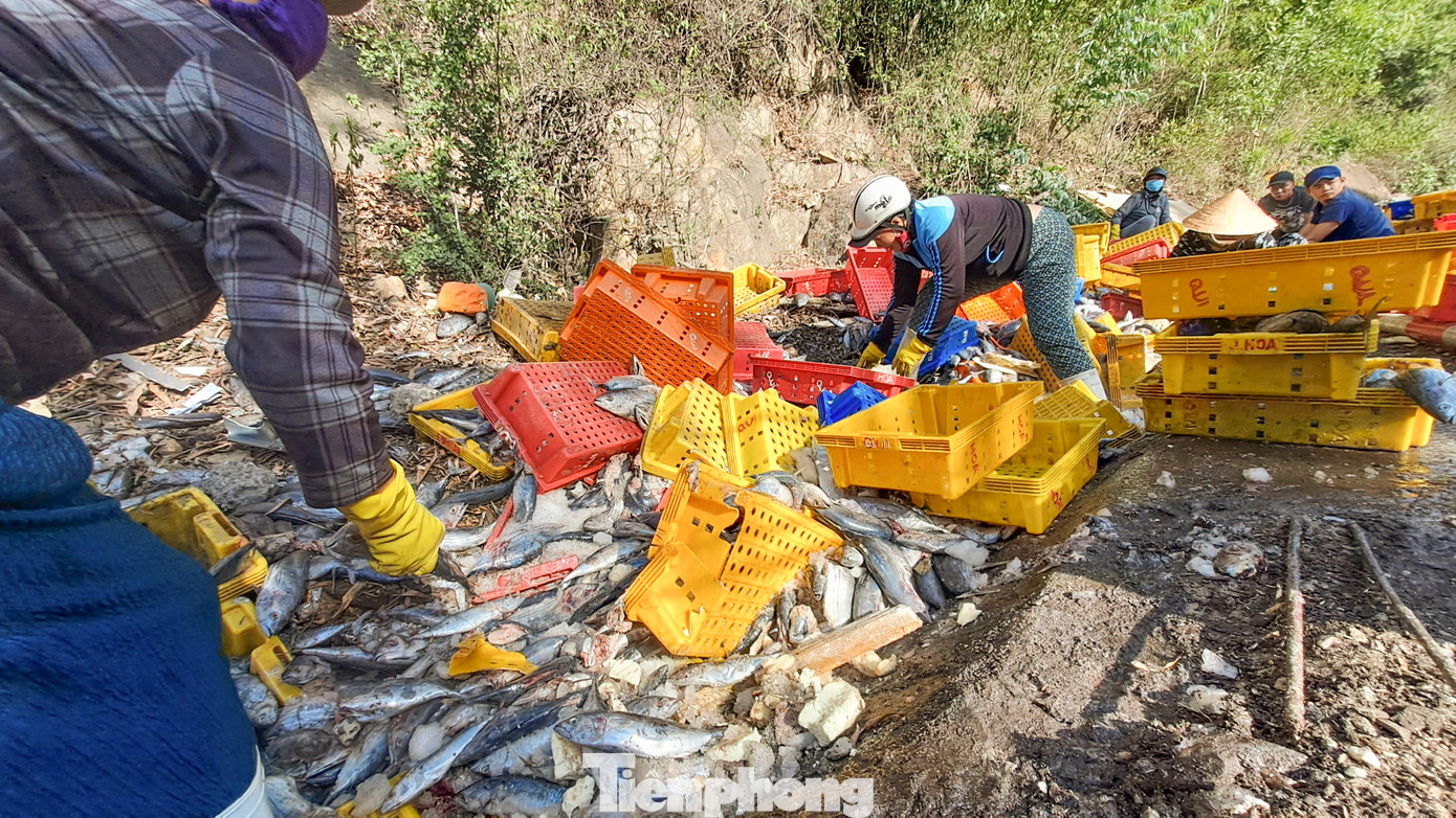 Thu dọn những khay đựng cá bị đổ xuống đường. (Ảnh: Trương Định)