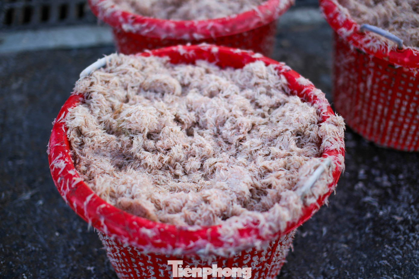 Hiện tại ruốc được thu mua giá không cao. Tuy nhiên, cũng rất mừng vì nhờ mùa ruốc mà có tiền mua sắm khi Tết cận kề. Ảnh: Trương Định.