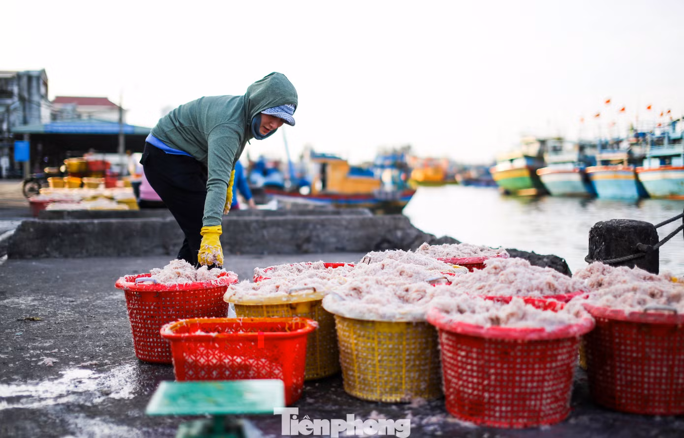 Khi thuyền cập bến, thương lái cũng có mặt để chờ thu mua ruốc. Ảnh: Trương Định.
