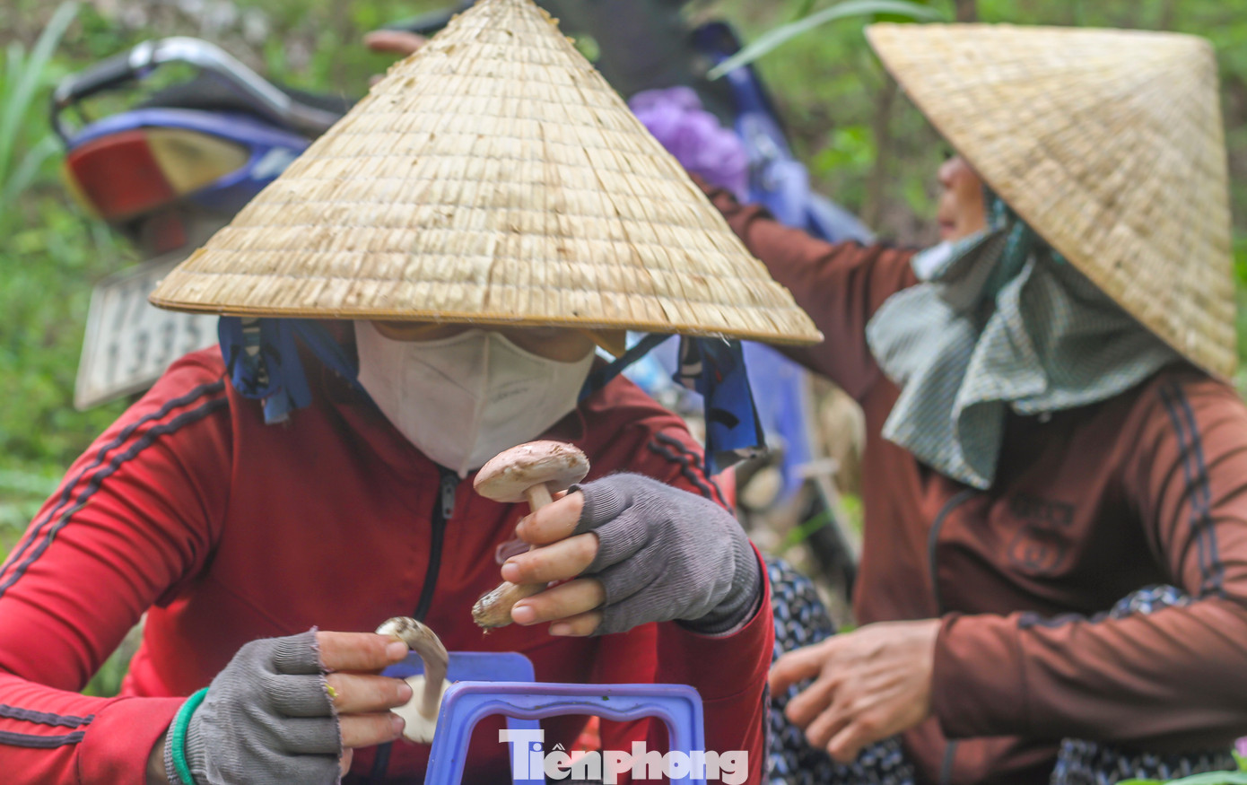 Người dân ngồi nghỉ xem thành quả sau nhiều giờ băng rừng tìm nấm. (Ảnh: Trương Định)