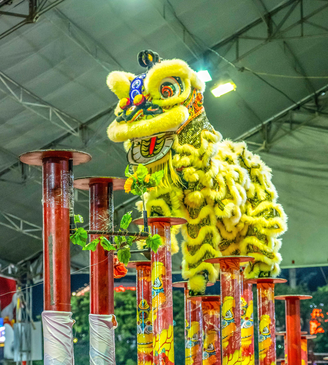 Ông Dương Hiệp Hòa - Phó Chủ tịch UBND TP Quy Nhơn cho biết, Liên hoan lân, sư, rồng Đất Võ Quy Nhơn - Bình Định là hoạt động chào mừng kỷ niệm Quốc khánh 2/9, đồng thời cũng là dịp để các đoàn lân, sư, rồng giao lưu, thi thố tài năng và học hỏi kinh nghiệm. Ảnh: Dũng Nhân