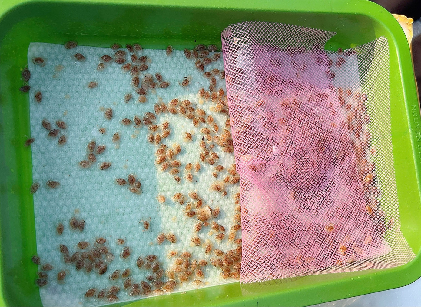 Các con giống thủy sản. Các con giống thủy sản.