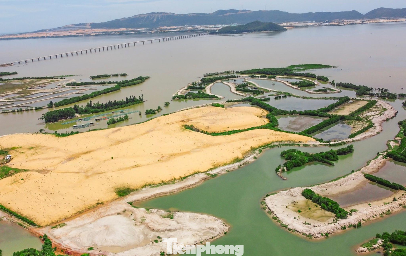 Từ năm 2019 doanh nghiệp cho san ủi nhiều diện tích cây rừng ngập mặn để triển khai dự án. Ảnh: N.O