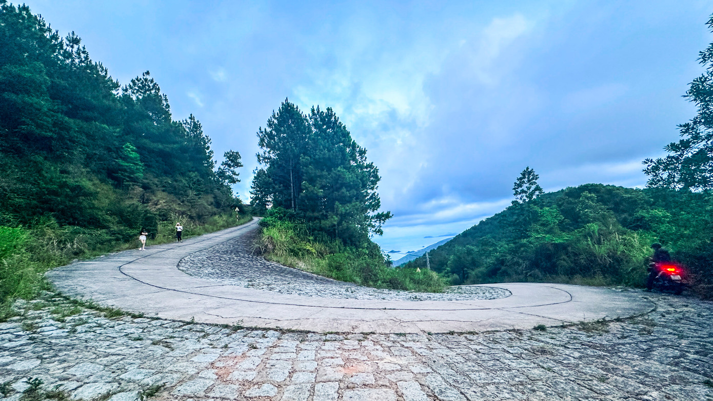 Con đường leo núi Vũng Chua uốn lượn qua những rừng cây xanh mát. Ở đây có hệ sinh thái đa dạng, đặc biệt là những cánh rừng thông thẳng tắp phủ kín các triền đồi.