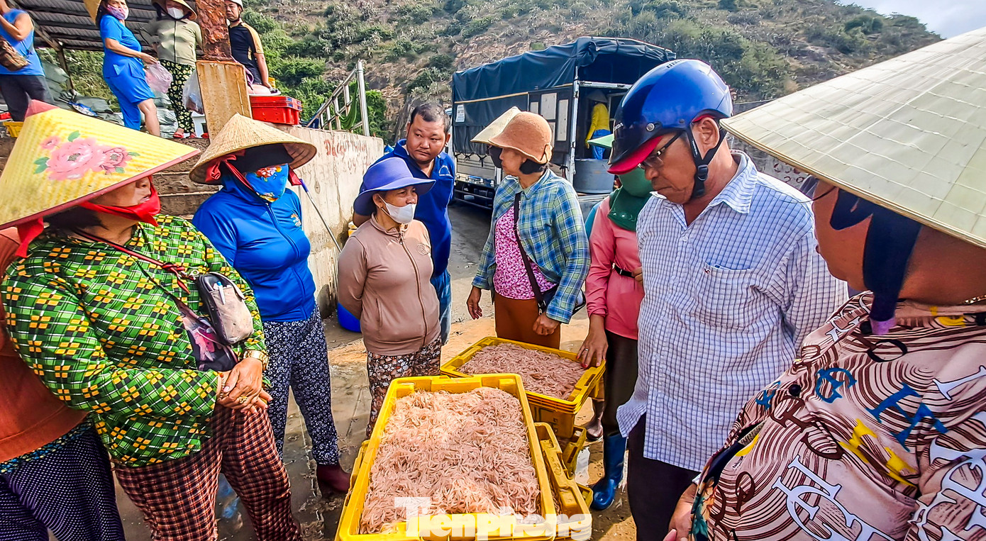 Ruốc được thương lái thu mua nhanh chóng.