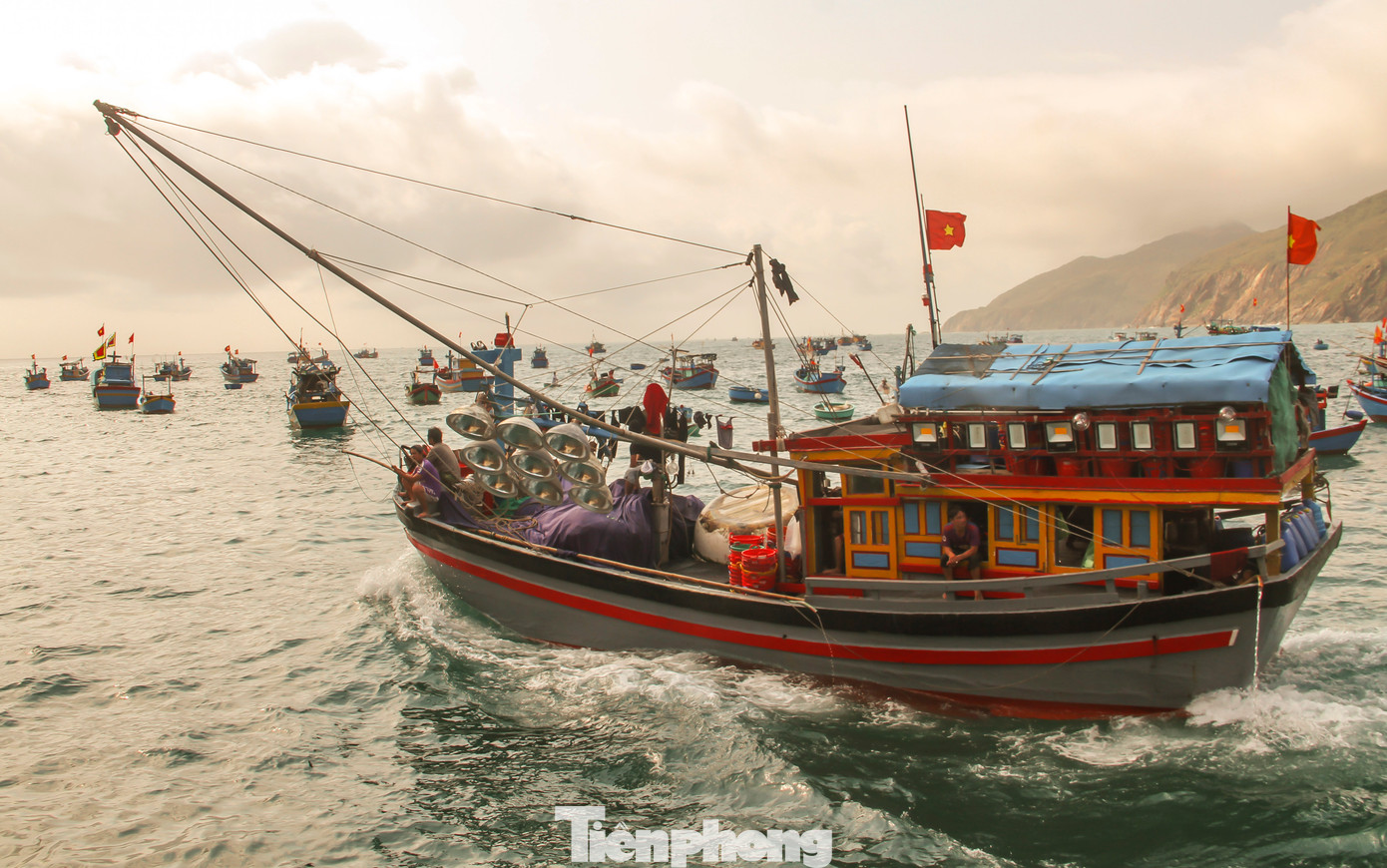 Ghe thuyền của ngư dân liên tục ra vào bến. Phó Chủ tịch UBND xã Nhơn Lý thông tin toàn xã hiện có 152 tàu thuyền đánh bắt thủy sản, trong 3 ngày qua theo ghi nhận thông tin tại bến cá của xã có khoảng 27-30 lượt thuyền, thúng ra vào cảng đánh bắt khai thác, lượng ruốc tươi và cá cơm với sản lượng trong 3 ngày khoảng 225 tấn thủy sản, trong đó ruốc khoảng 120 tấn.