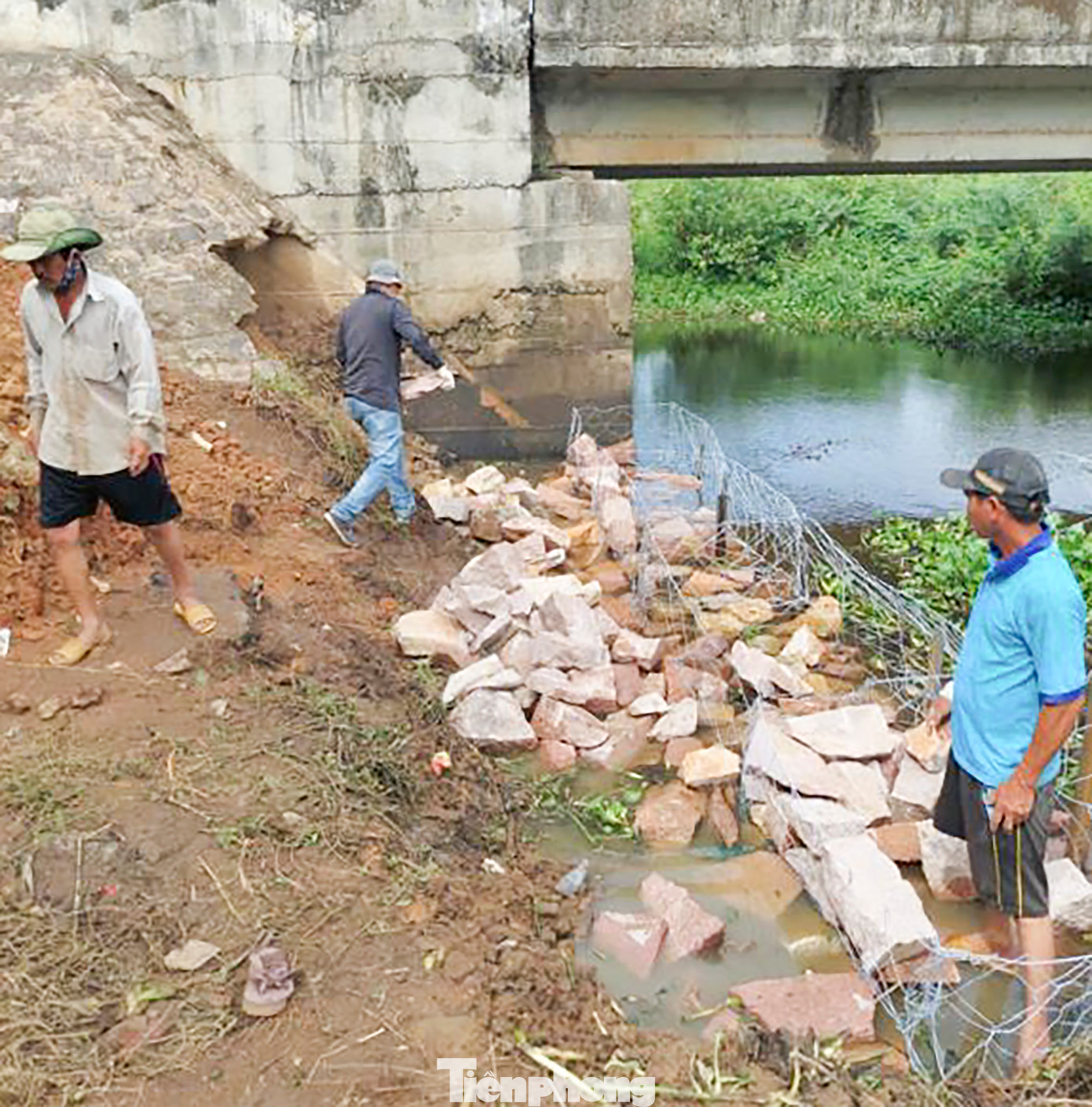 Cũng theo Sở GTVT tỉnh Bình Định, hiện nay trên các tuyến đường tỉnh còn 27 cầu yếu, khổ hẹp cần phải được thay thế để đảm bảo an toàn giao thông và đồng bộ hóa tải trọng khai thác. Hiện các cầu này đã được kiểm định và cắm biển hạn chế tải trọng. Ảnh: Sở GTVT