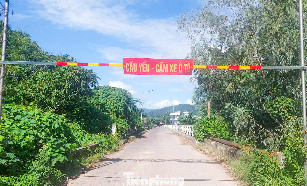 Do lo ngại cầu sập, địa phương đã đặt biển cấm ô tô 2 đầu cầu. Theo lãnh đạo UBND huyện Vĩnh Thạnh, UBND tỉnh Bình Định đã đồng ý đưa cầu Định Bình vào danh mục chuẩn bị đầu tư giai đoạn 2026 - 2030. UBND huyện đã giao Ban Quản lý dự án thuê đơn vị tư vấn thiết kế lại cầu mới. Ảnh: Trương Định