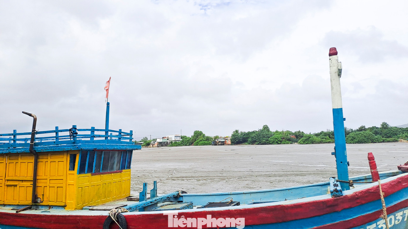 Liên quan sự việc này, ngày 27/11, Chi Cục thủy lợi (thuộc Sở NN&PTNT tỉnh Bình Định) có văn bản gửi Công ty CP Cảng Quy Nhơn việc Công ty thực hiện dự án Đầu tư xây dựng nâng cấp Bến số 1 - Cảng Quy Nhơn, trong đó vật chất nạo vét của dự án sẽ được bơm vào Khu đô thị mới Khu vực Chợ Góc. Tuy nhiên, hiện nay vật chất nạo vét đang bồi lắng lòng dẫn hạ lưu tràn Quy Nhơn 3 và cống Đông Định. (Ảnh: Trương Định)