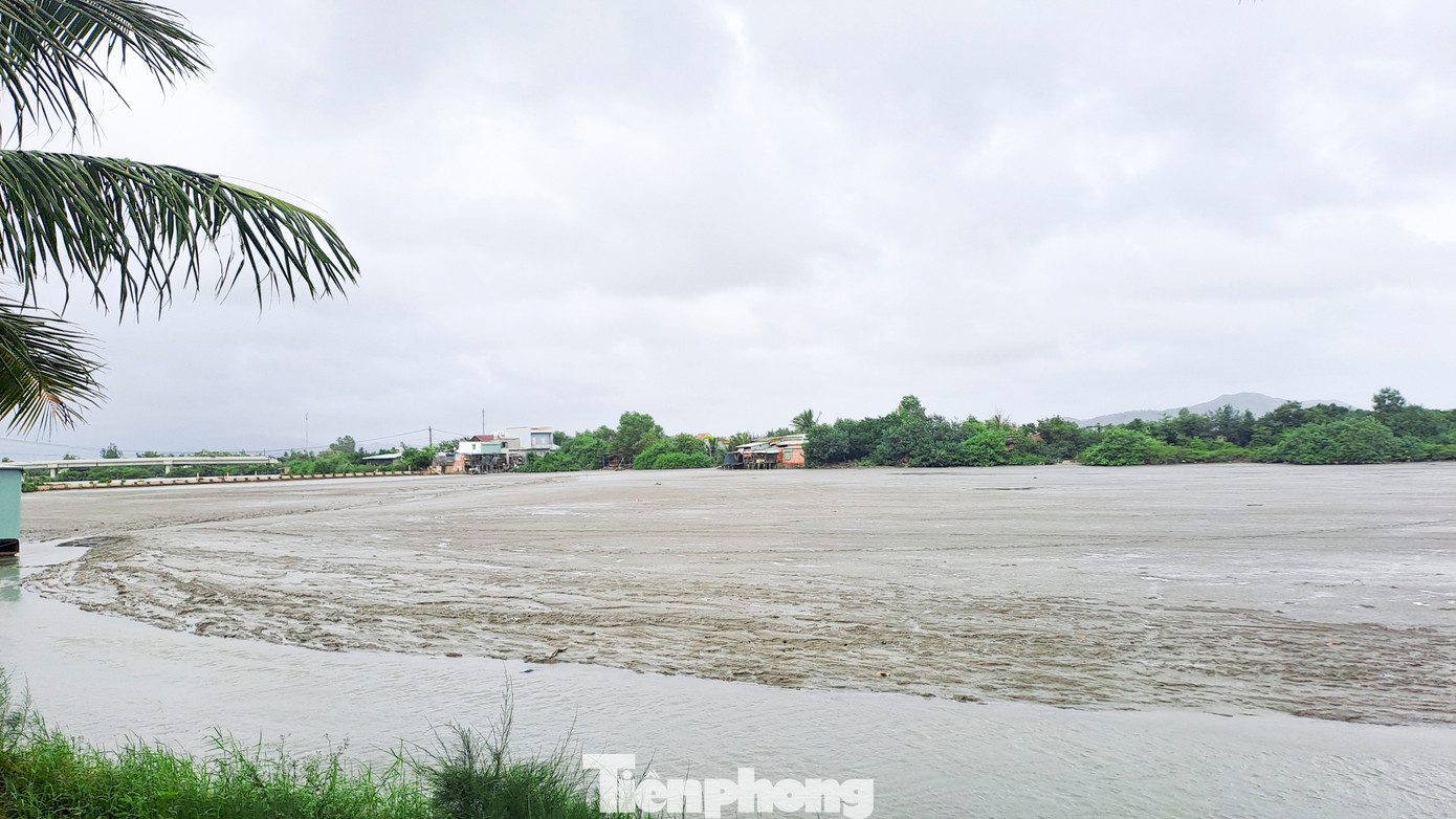 Theo đó, việc hình thành bãi bồi làm cản trở dòng chảy, ảnh hưởng thoát lũ và sản xuất nông nghiệp vụ Đông Xuân năm 2023 - 2024. Để bảo đảm thoát lũ và sản xuất nông nghiệp, Chi cục Thủy lợi đề nghị đơn vị nạo vét phối hợp với đơn vị tiếp nhận khẩn trương nạo vét bãi bồi lòng sông để thông thoáng dòng chảy, hoàn trả lại theo hiện trạng ban đầu tại vị trí nêu trên. (Ảnh: Trương Định)