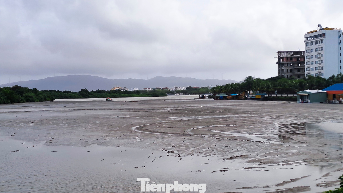 Cả một khúc sông bị bùn thải vùi lấp. Sự việc khiến người dân khu vực 4, phường Nhơn Bình bức xúc thời gian qua, phản ánh đến chính quyền cùng các cơ quan báo chí. (Ảnh: Trương Định)