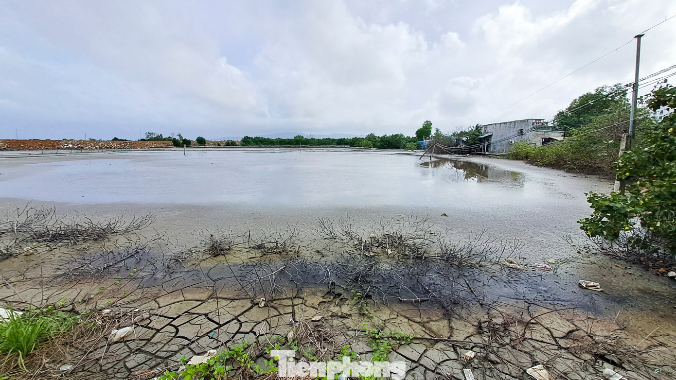 Hồ nuôi thủy sản của người dân cũng bị bùn đất vùi lấp. (Ảnh: Trương Định)