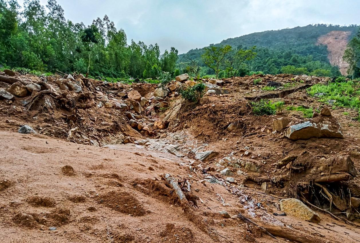 Sạt lở núi ở Bình Định làm hư hại 8 ha rừng, ruộng lúa ảnh 1