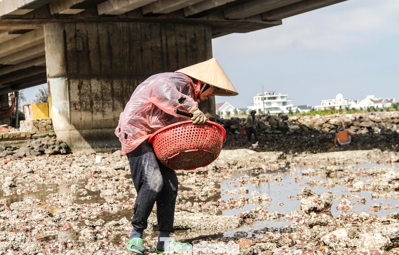 Theo bà Loan, công việc có phần vất cả nhưng cũng kiếm thêm được thu nhập để trang trải cuộc sống hằng ngày, đặc biệt có thêm tiền lo sắm Tết sắp đến. (Ảnh: Trương Định)