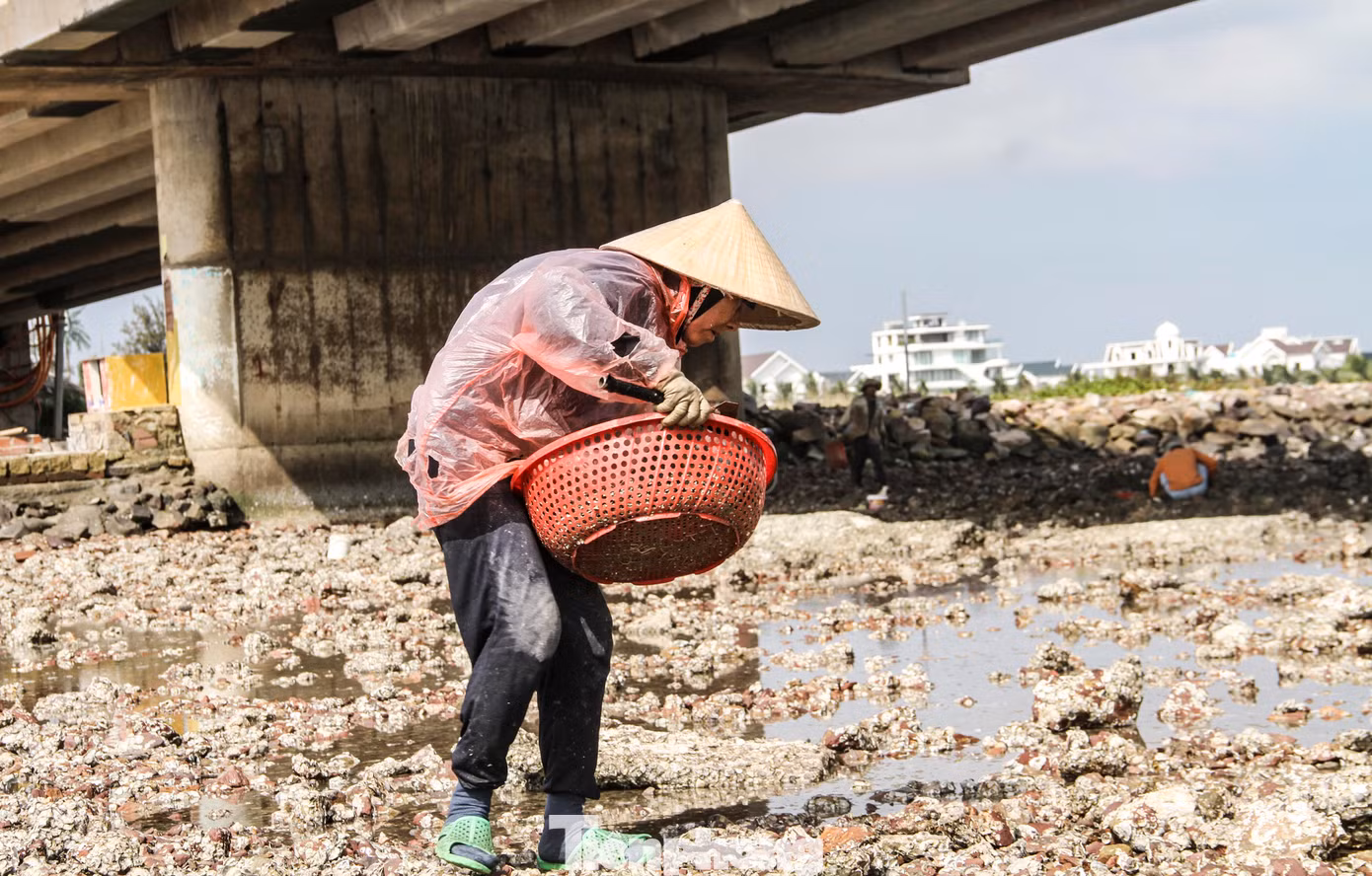 Theo bà Loan, công việc có phần vất cả nhưng cũng kiếm thêm được thu nhập để trang trải cuộc sống hằng ngày, đặc biệt có thêm tiền lo sắm Tết sắp đến. (Ảnh: Trương Định)