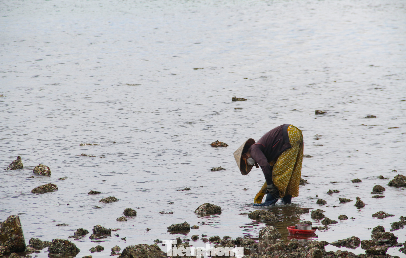 Nhọc nhằn mưu sinh trên đầm Thị Nại. (Ảnh: Trương Định)