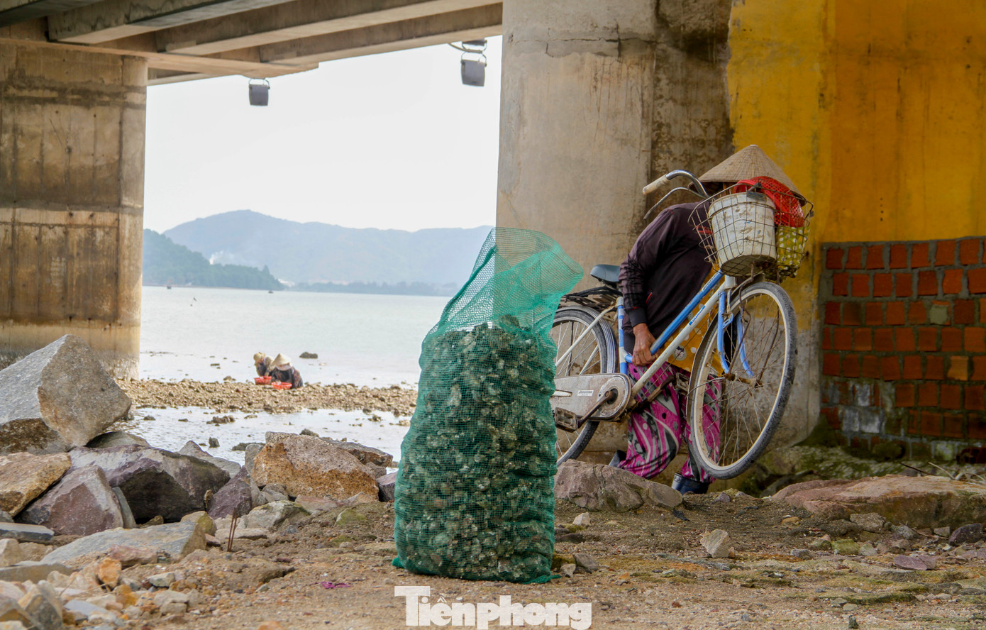 Thành quả của người dân trong buổi sáng. (Ảnh: Trương Định)