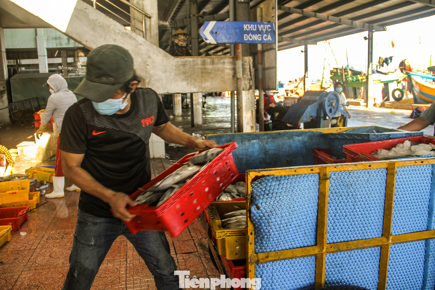 Theo chị Nguyễn Thị Ngọc Hoa, chủ đầu nậu thu mua hải sản, TP Quy Nhơn (Bình Định), hiện bây giờ ghe đang vô, một ghe cũng từ 15 đến 25 tấn. Giá cả cũng bình thường không có biến động nhiều. Công ty bán cũng chưa được nhưng vẫn thu mua cho ngư dân. Ảnh:Trương Định