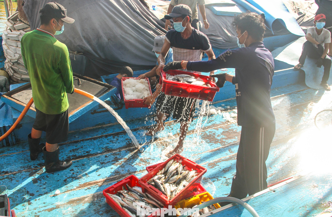 Tàu thuyền vào cảng cá Quy Nhơn để bán cá. Ảnh: Trương Định