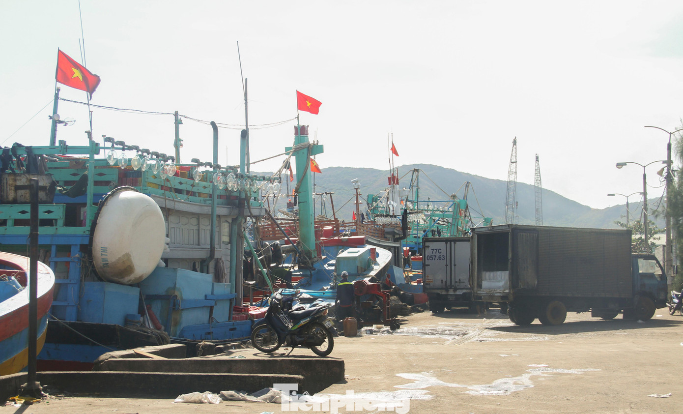 Ông Nguyễn Anh Dũng, Phó giám đốc BQL cảng cá tỉnh – phụ trách cảng cá Quy Nhơn cho hay: Thời gian qua, lượng tàu thuyền về cảng cá Quy Nhơn tăng. Để đảm bảo công tác phòng chống dịch COVID-19, cảng cũng phối hợp với y tế, trạm biên phòng Mũi Tấn, đối với các tàu cá ở địa phương đang thực hiện theo Chỉ thị 16 khi về cảng thì phải khai báo trước 1 giờ, thực hiện test nhanh và kiểm tra y tế. Ảnh: Trương Định