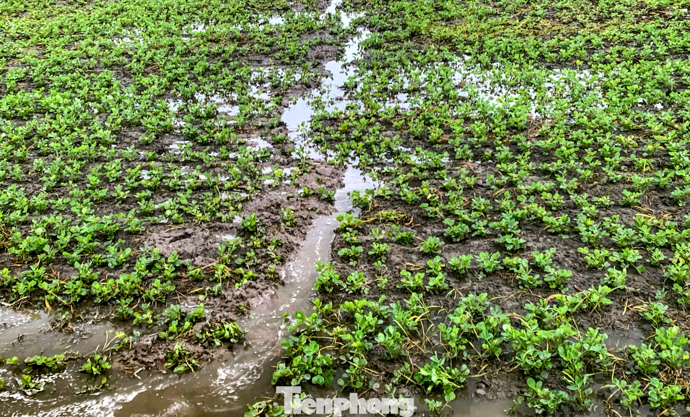 Người dân tạo rãnh để tháo nước ra ngoài. Ảnh: Trương Định Người dân tạo rãnh để tháo nước ra ngoài. Ảnh: Trương Định