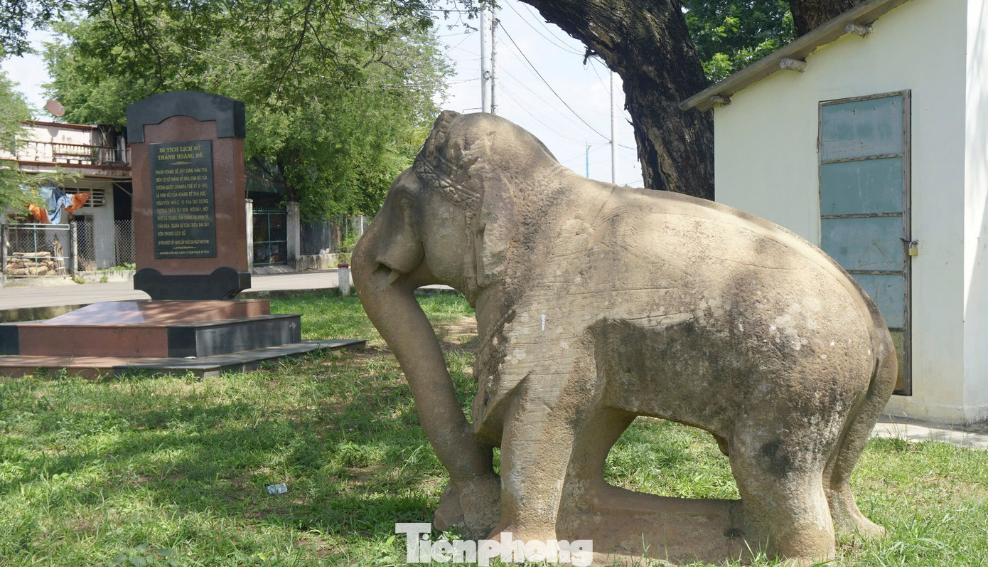 Cặp tượng voi đá thành Đồ Bàn (một đực, một cái), niên đại nửa sau thế kỷ XII. Trong đó, tượng voi cái cao 176 cm, dài 220 cm, rộng 85 cm, có trọng lượng ước khoảng 750 kg, tượng voi đực cao 200 cm, dài 240 cm, rộng 100 cm, có trọng lượng ước khoảng 800 kg. Hai tượng voi thành Đồ Bàn được đặt đứng chầu trước cửa Vệ môn (thành Nội) thuộc Khu di tích Thành Hoàng Đế. Thành Hoàng Đế được nhà Tây Sơn xây dựng trên cơ sở kinh thành Đồ Bàn của Chămpa. Cặp tượng voi được công nhận bảo vật quốc gia năm 2023. Ảnh: A.C.