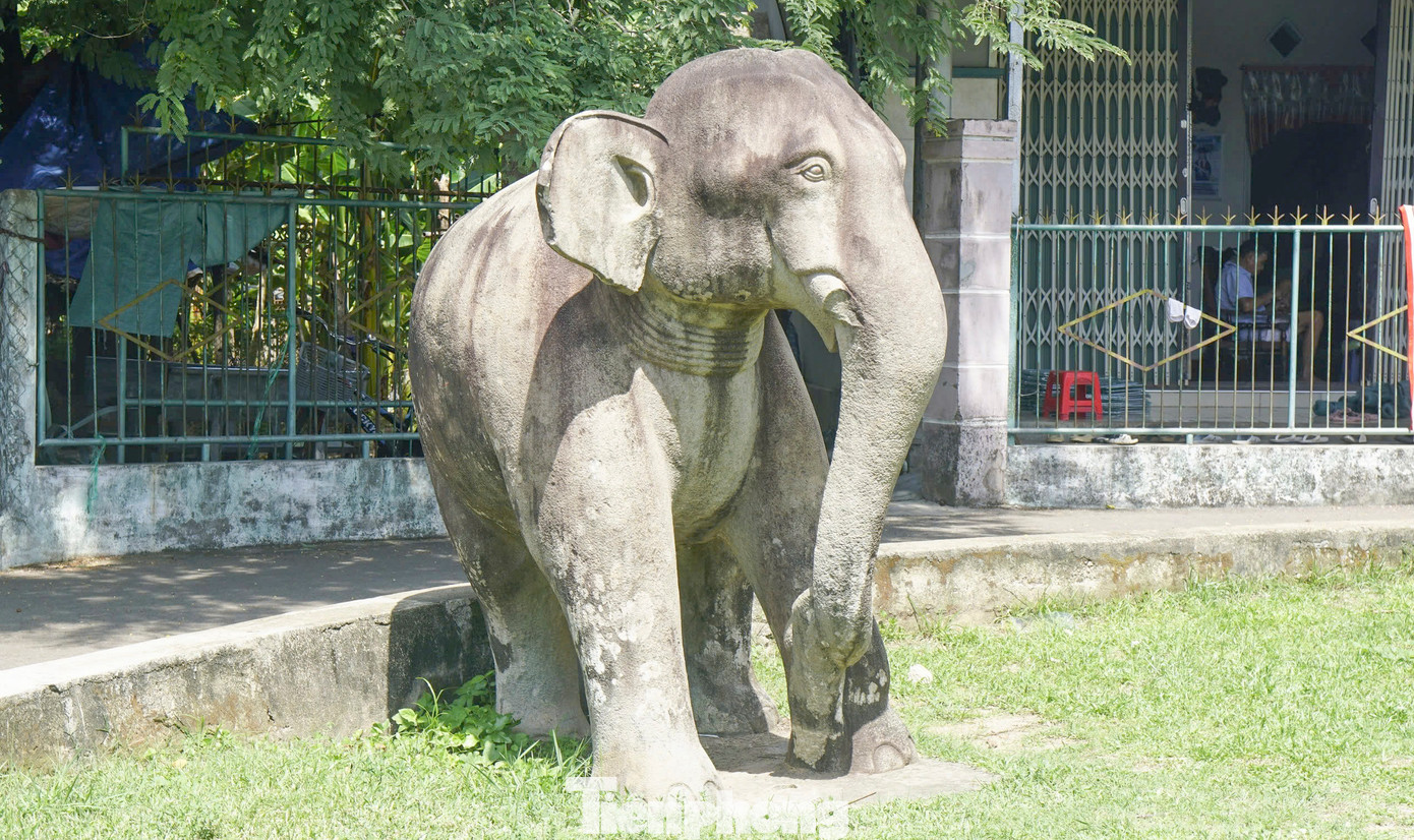 Cặp tượng voi đá thành Đồ Bàn (một đực, một cái), niên đại nửa sau thế kỷ XII. Trong đó, tượng voi cái cao 176 cm, dài 220 cm, rộng 85 cm, có trọng lượng ước khoảng 750 kg, tượng voi đực cao 200 cm, dài 240 cm, rộng 100 cm, có trọng lượng ước khoảng 800 kg. Hai tượng voi thành Đồ Bàn được đặt đứng chầu trước cửa Vệ môn (thành Nội) thuộc Khu di tích Thành Hoàng Đế. Thành Hoàng Đế được nhà Tây Sơn xây dựng trên cơ sở kinh thành Đồ Bàn của Chămpa. Cặp tượng voi được công nhận bảo vật quốc gia năm 2023. Ảnh: A.C.