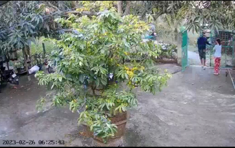 Người đàn ông mở xô cổng xông vào nhà bắt trộm chó. Ảnh cắt từ clip