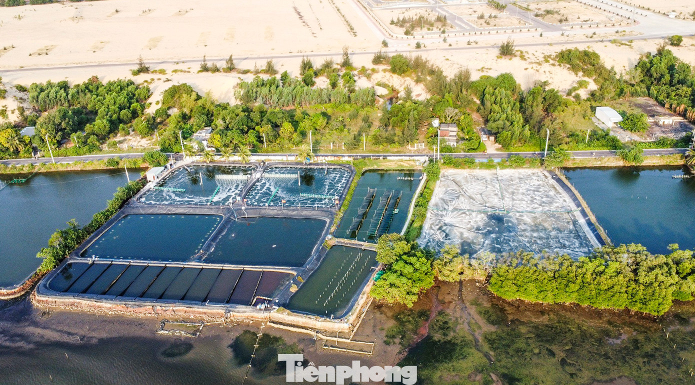 Theo quy hoạch, dự án Khu vui chơi giải trí đầm Thị Nại gồm các công trình vui chơi, giải trí (công viên nước, thủy cung, suối nóng, hệ thống đường tàu lượn, các trò chơi mạo hiểm, bắn súng sơn…); các công trình phụ trợ; cây xanh cảnh quan được bố trí xen kẽ với các khu chức năng. (Ảnh: Trương Định).