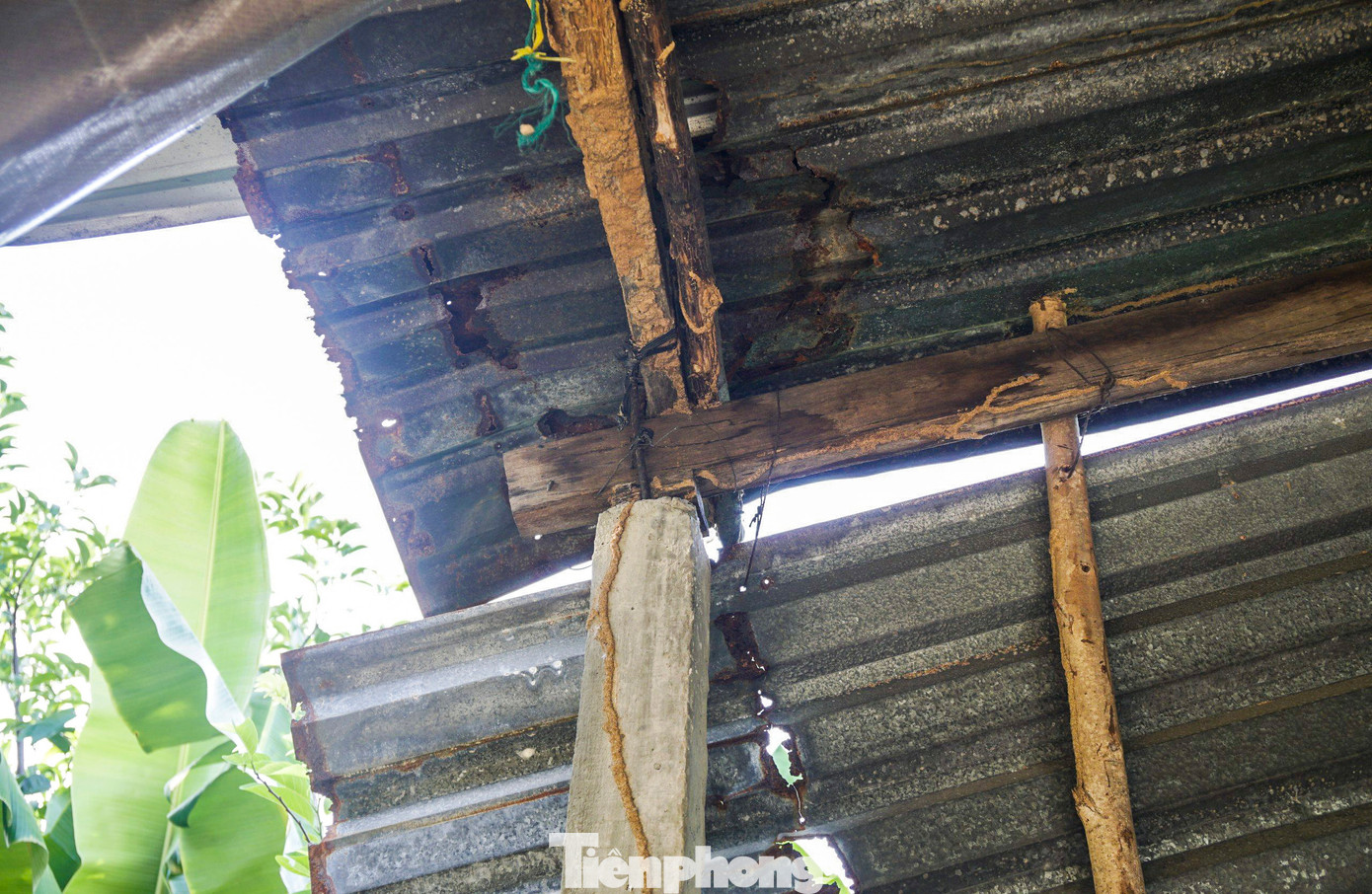 Nhà cửa chèn chống, dột nứt khiến người dân bất an trong thời gian dài. (Ảnh: Trương Định).