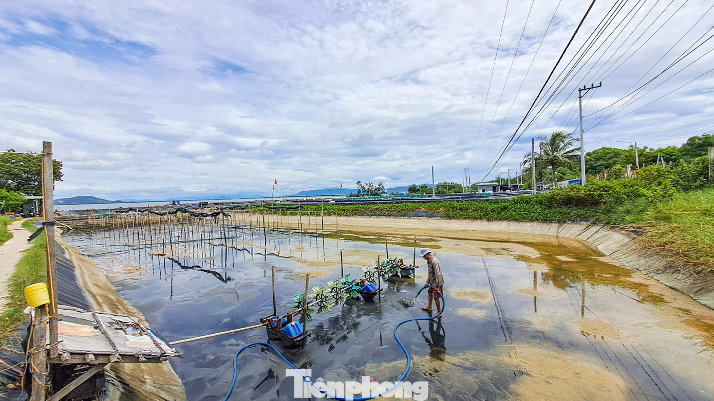 Ngoài ra, việc nuôi trồng thủy sản cũng bị ảnh hưởng, người dân không dám đầu tư mở rộng. (Ảnh: Trương Định).