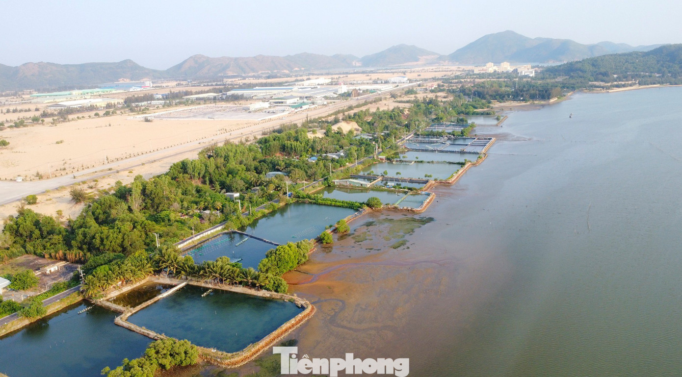 Khu vực quy hoạch dự án Khu vui chơi giải trí đầm Thị Nại. (Ảnh: Trương Định).