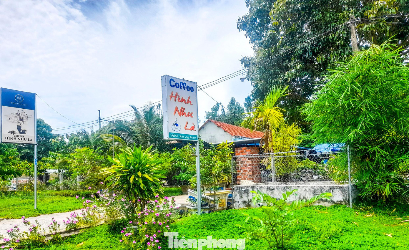 Quán cà phê mọc trên đất của bà Võ Thị Ánh Nhạn thuê. Ảnh: Trương Định