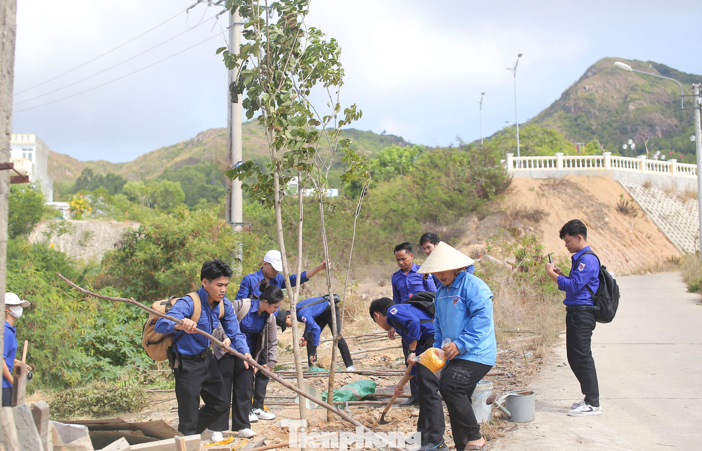 Các bạn sinh viên Lào trồng cây xanh, dọn rác và vẽ tranh bích họa tại xã Nhơn Hải. Ảnh: Trương Định
