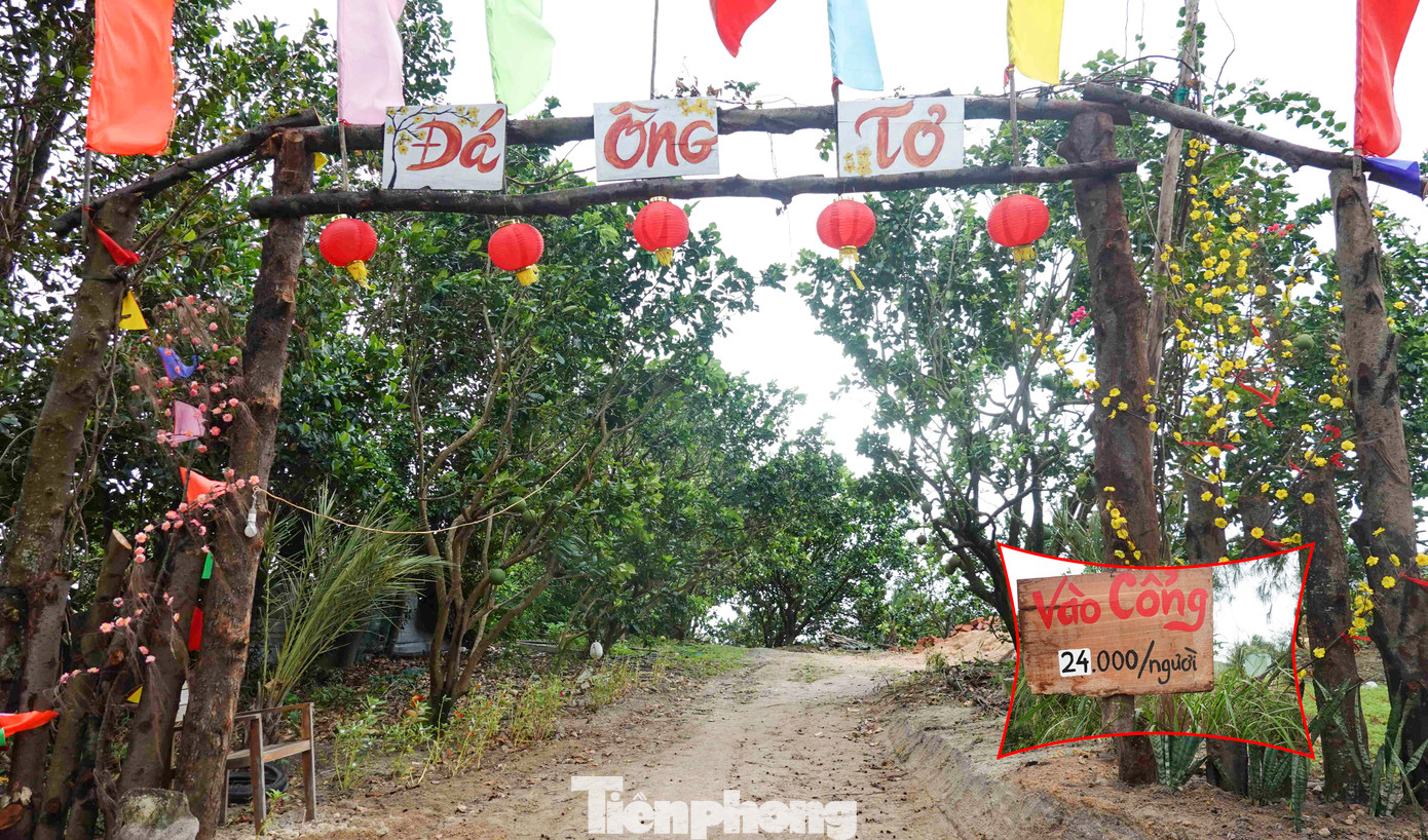 Đường dẫn vào khu du lịch Đá Ông Tơ, phí vào cổng 24 nghìn đồng/ người. Ảnh: Trương Định