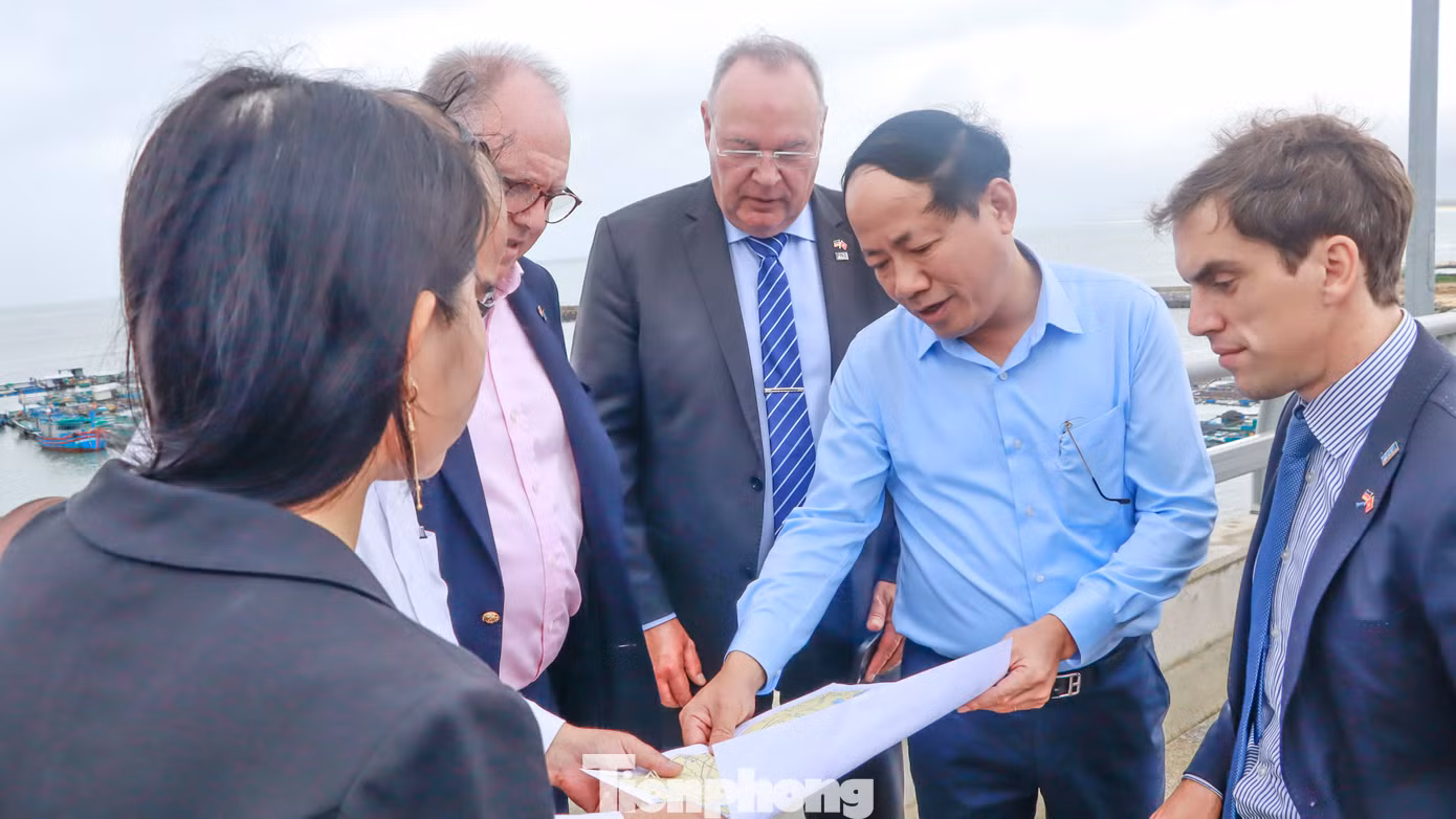 Chủ tịch tỉnh Bình Định Phạm Anh Tuấn (thứ 2 bên phải) cùng lãnh đạo Tập đoàn PNE khảo sát hiện trường khu vực dự kiến triển khai dự án. Ảnh: VP UBND tỉnh Bình Định. Chủ tịch tỉnh Bình Định Phạm Anh Tuấn (thứ 2 bên phải) cùng lãnh đạo Tập đoàn PNE khảo sát hiện trường khu vực dự kiến triển khai dự án. Ảnh: VP UBND tỉnh Bình Định.