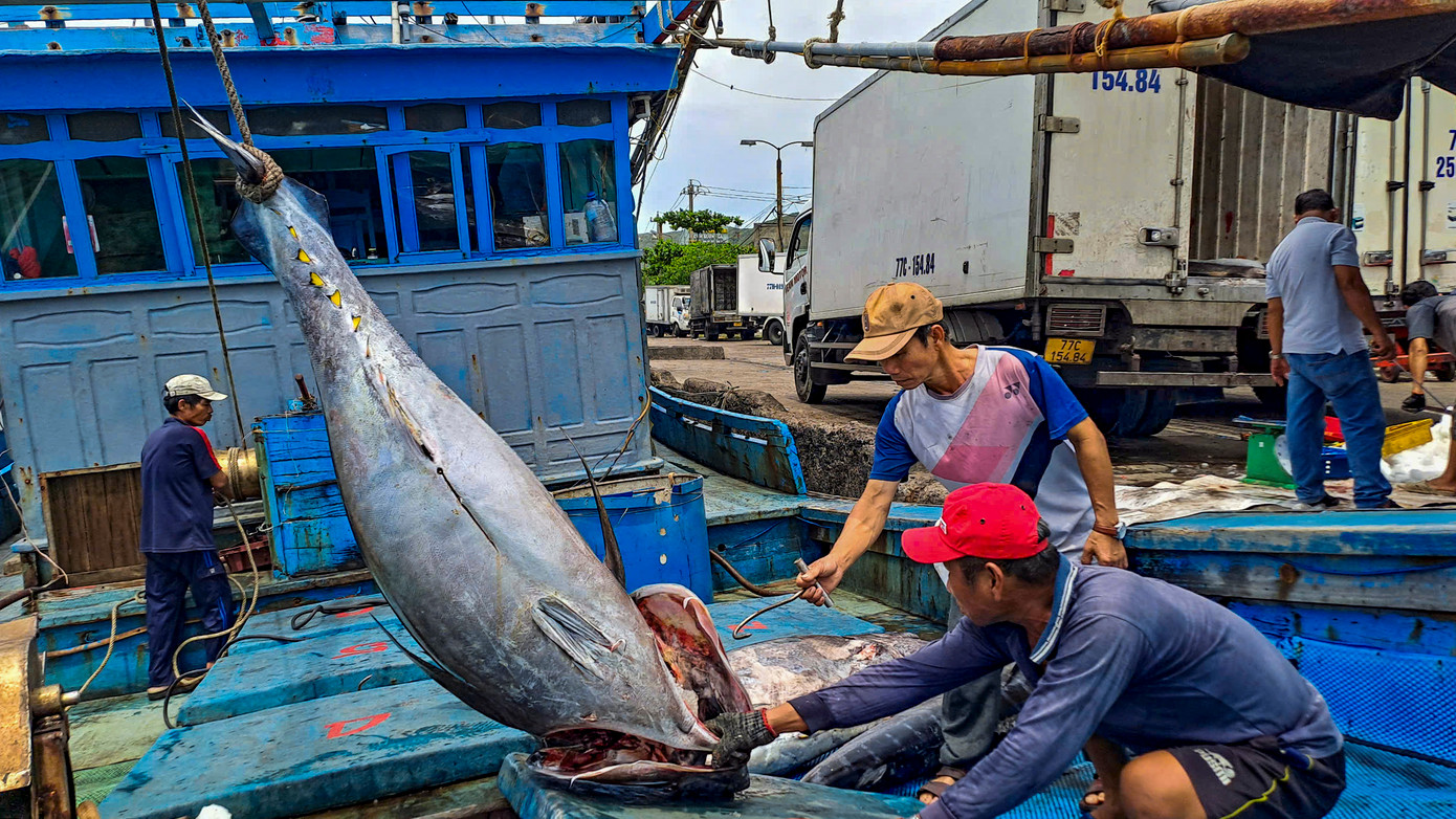 Theo ngư dân, chuyến biển này sản lượng đánh bắt được thấp, trong khi đó phí tổn cho chuyến biển cao nên cũng gặp nhiều khó khăn. Nhưng đã theo nghề nên anh em động viên nhau cố gắng để vươn khơi, bám biển: Trương Định