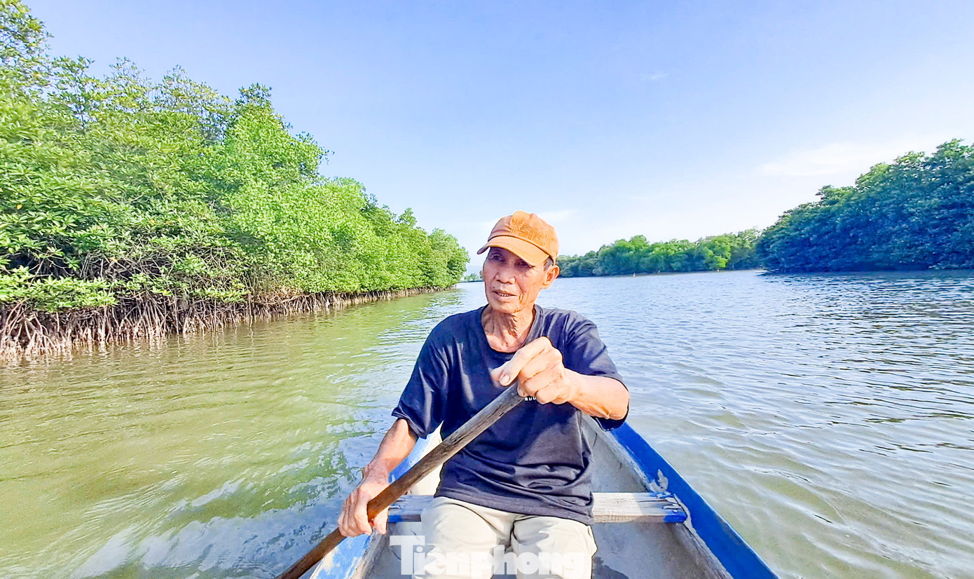 Vùng &apos;sông nước miền Tây&apos; trên đất Bình Định. Ảnh: Trương Định