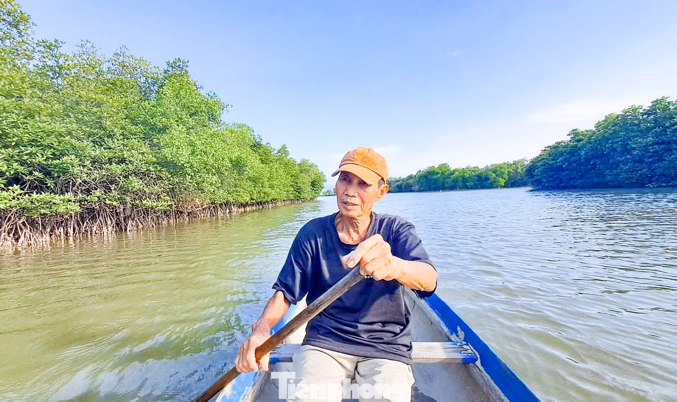 Vùng 'sông nước miền Tây' trên đất Bình Định. Ảnh: Trương Định Vùng 'sông nước miền Tây' trên đất Bình Định. Ảnh: Trương Định