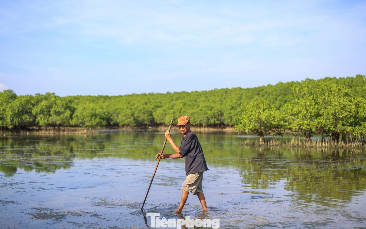 Lão nông 77 tuổi miệt mài giữ rừng. Ảnh: Trương Định