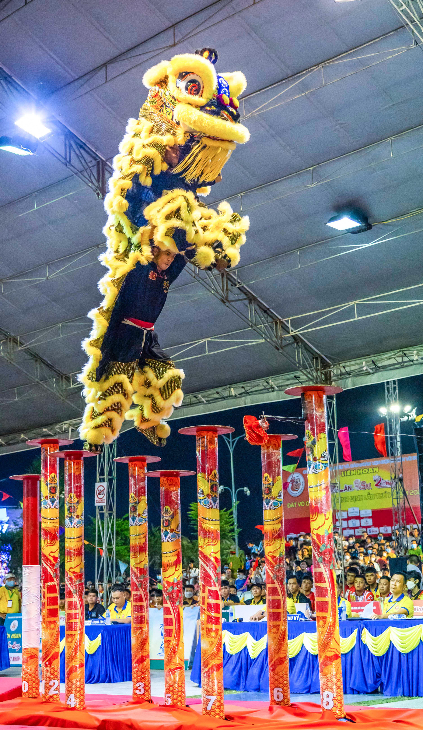 Liên hoan cũng phục vụ nhu cầu thưởng thức của công chúng đối với bộ môn thể thao đầy tính nghệ thuật này tại Bình Định. Qua đó thúc đẩy phát triển phong trào lân, sư, rồng của tỉnh; phát huy truyền thống văn hóa, thể thao đặc sắc của dân tộc và đáp ứng nhu cầu hưởng thụ văn hóa, thể thao của nhân dân, tăng cường sự hiểu biết, giao lưu, đoàn kết giữa các địa phương và góp phần phát triển du lịch Quy Nhơn - Bình Định. Ảnh: Dũng Nhân