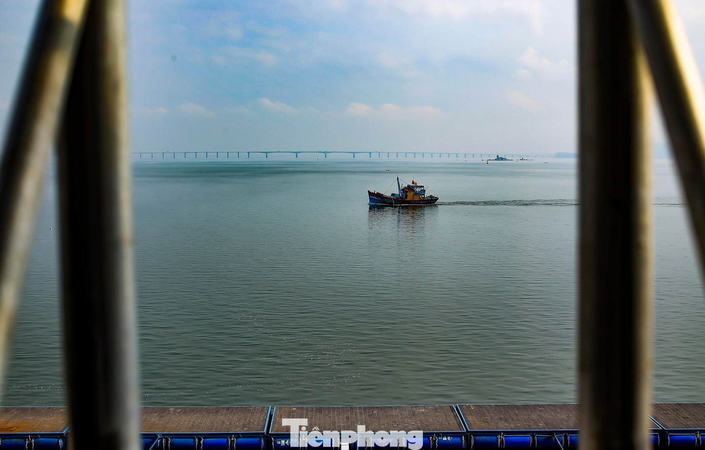 Khu vực khán đài nhìn về cầu Thị Nại. Ảnh: Trương Định