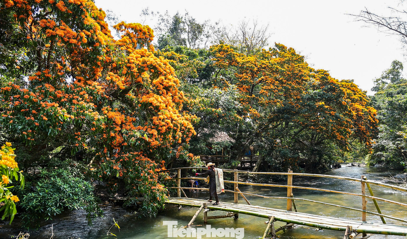 Để tạo điều kiện phục vụ đi lại cho người dân, đồng thời kết nối để phát triển du lịch, tỉnh Bình Định đã đầu tư một tuyến đường dẫn thẳng vào suối Tà Má. Nơi đây cũng được địa phương quy hoạch trở thành điểm du lịch cộng đồng trong thời gian tới, nhằm thúc đẩy phát triển kinh tế - xã hội của địa phương.