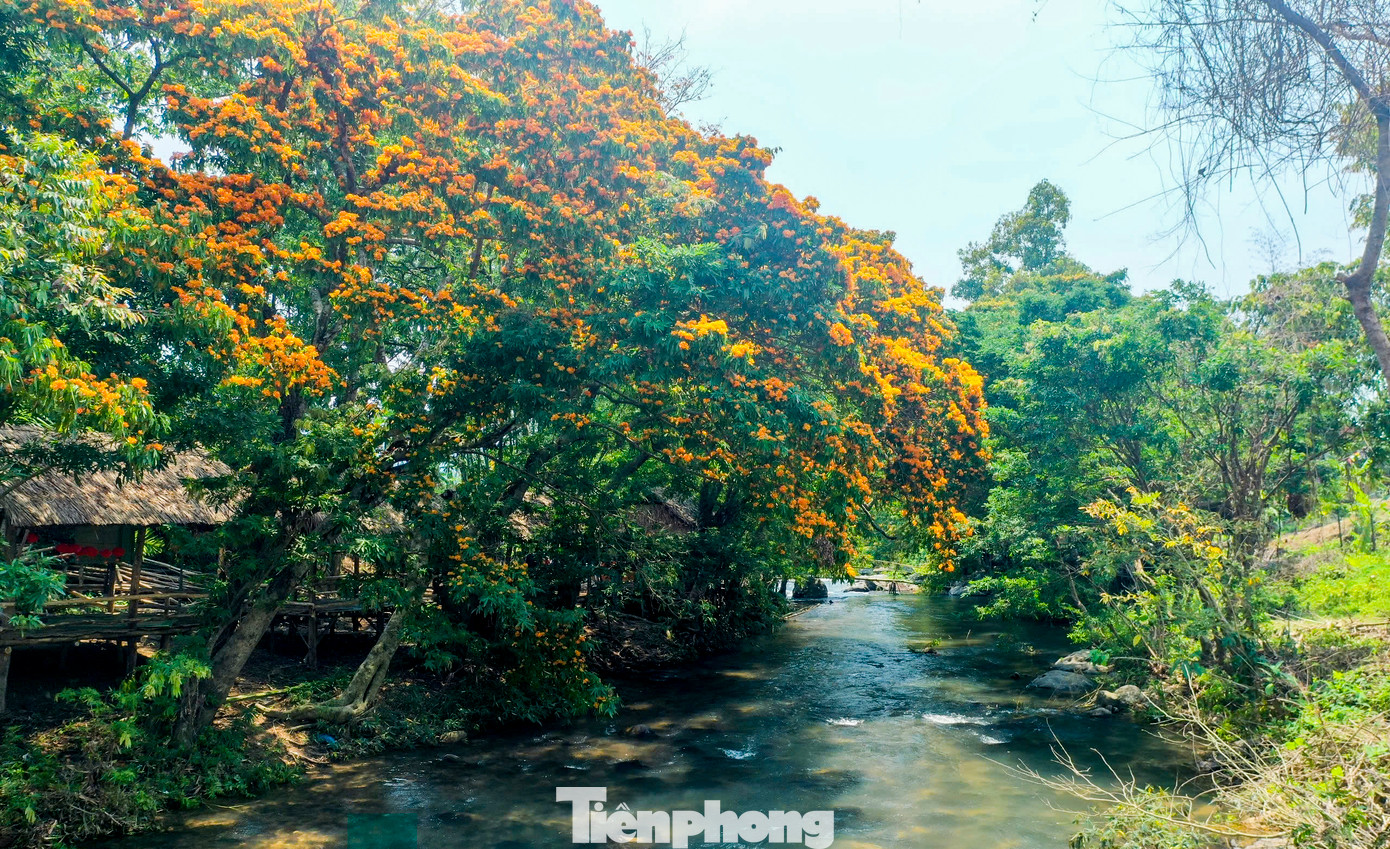 Dự kiến trong tháng 3 này, UBND huyện Vĩnh Thạnh sẽ tổ chức ngày hội thưởng ngoạn hoa trang suối Tà Má, nhằm giới thiệu danh lam thắng cảnh, di tích lịch sử văn hóa, các điểm trải nghiệm, quảng bá hình ảnh quê hương và con người Vĩnh Thạnh đến với du khách; qua đó kêu gọi đầu tư, từng bước phát triển các loại hình du lịch; góp phần bảo tồn, phát huy bản sắc văn hóa truyền thống.