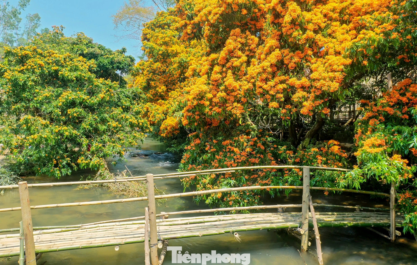 Trong khuôn khổ ngày hội sẽ diễn ra nhiều chương trình như giao lưu, biểu diễn cồng chiêng, múa xoang, các nhạc cụ truyền thống; giao lưu lửa trại; trình diễn đan lát, dệt thổ cẩm và trưng bày hiện vật gắn với đời sống văn hóa truyền thống của đồng bào Bana Kriêm Vĩnh Thạnh; tổ chức các trò chơi dân gian cho du khách trải nghiệm, các gian hàng ẩm thực của các xã, thị trấn…