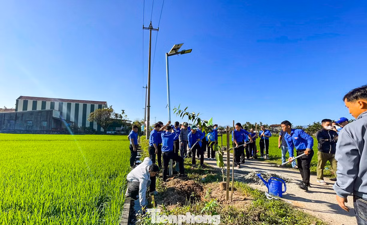Thực hiện công trình thanh niên "sáng – xanh – sạch – đẹp", tại xã Hành Thuận. Ảnh: Nguyễn Ngọc Thực hiện công trình thanh niên "sáng – xanh – sạch – đẹp", tại xã Hành Thuận. Ảnh: Nguyễn Ngọc