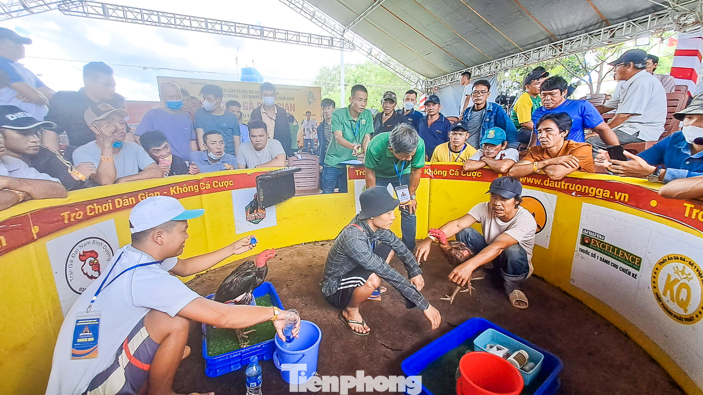 Làm thủ tục trước khi vào trận đấu. Ảnh: Trương Định).